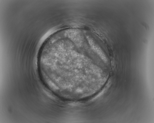 X0000113310246200910131113
