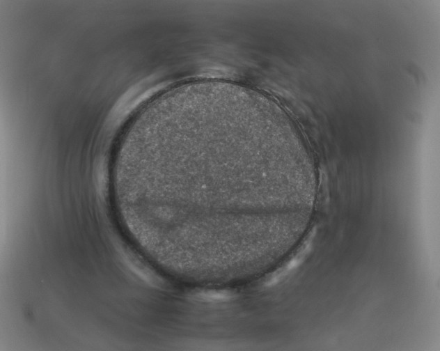 X0000113310247200910131113