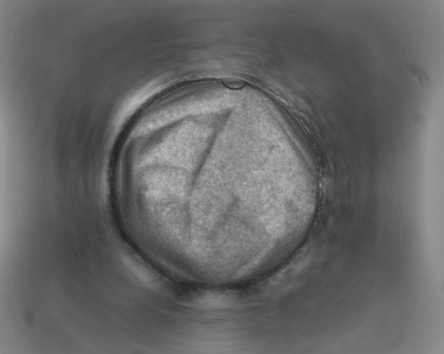 X0000113310248200910131114