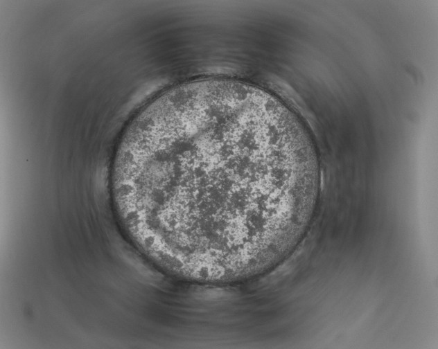 X0000113310249200910131114