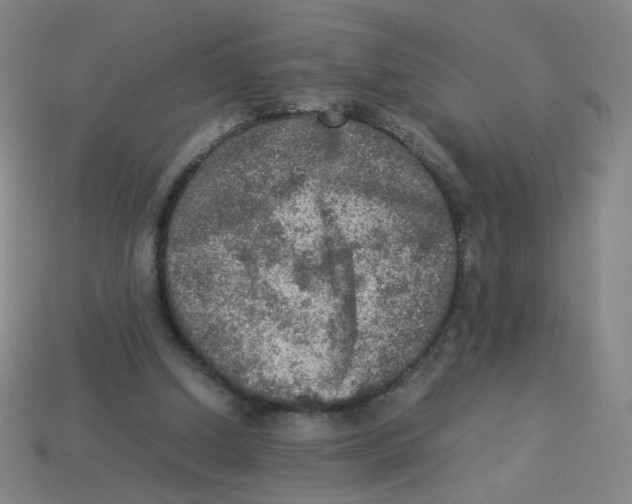 X0000113310250200910131114
