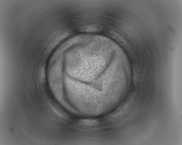 X0000113310251200910131114