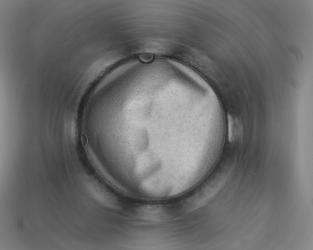 X0000113310252200910131114