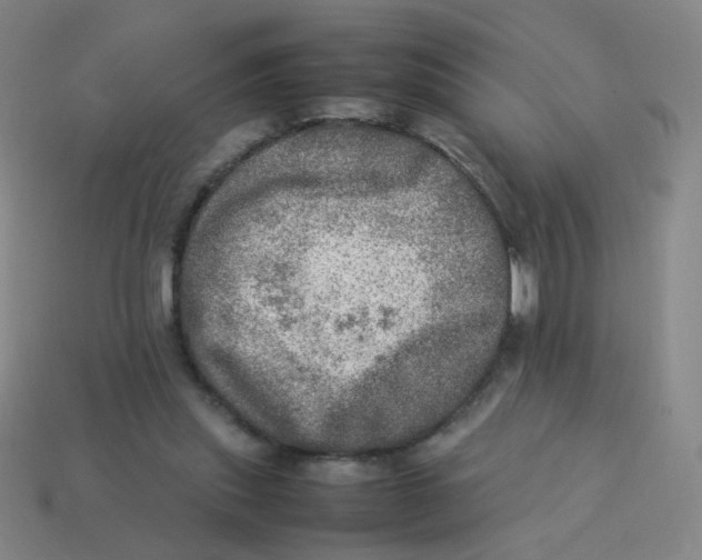 X0000113310253200910131114