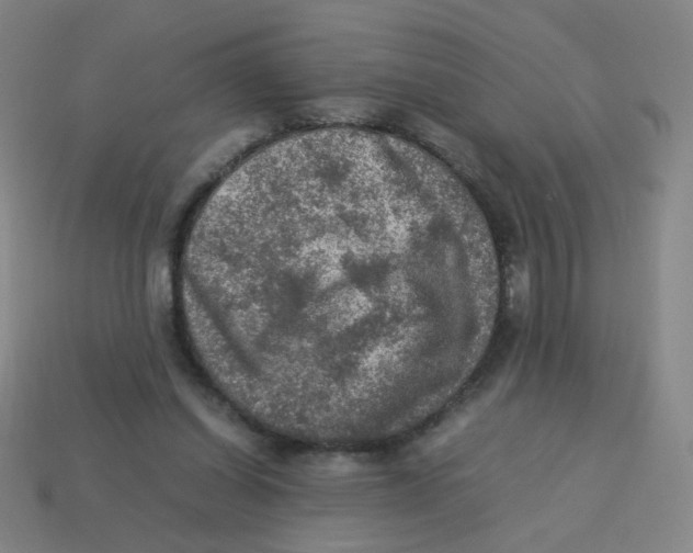 X0000113310254200910131114
