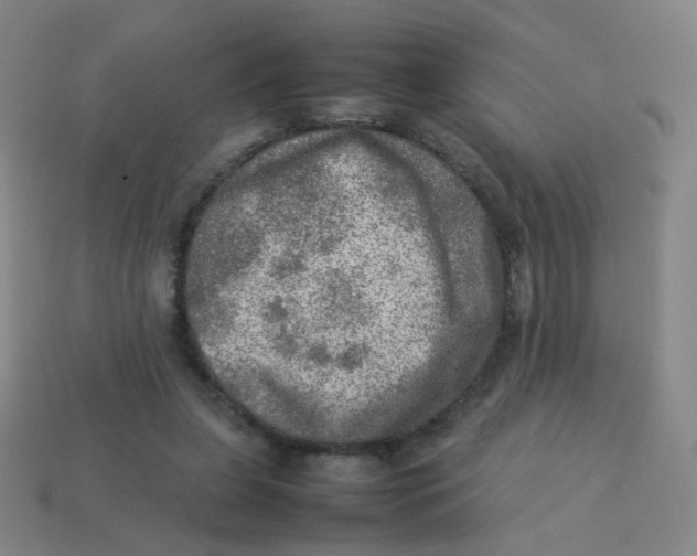 X0000113310255200910131114