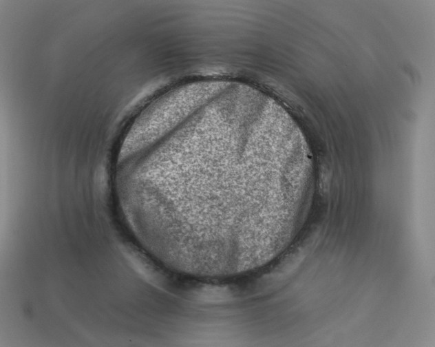 X0000113310256200910131114