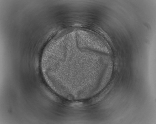 X0000113310257200910131114