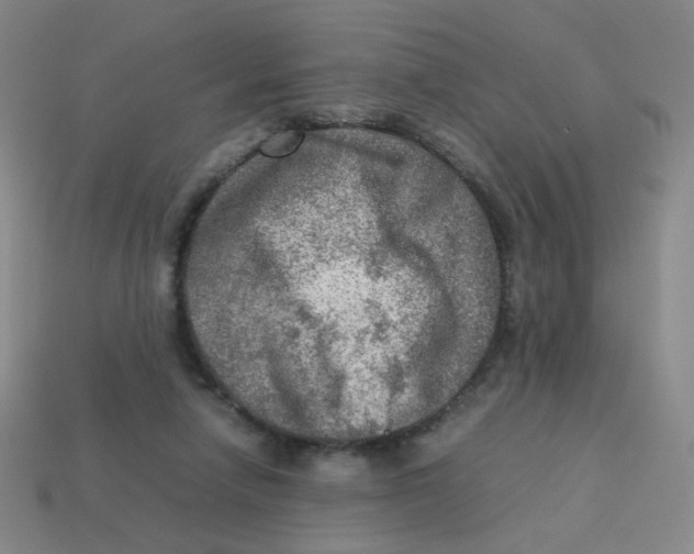 X0000113310258200910131114