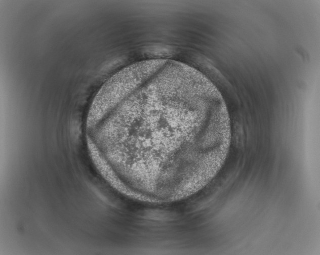 X0000113310259200910131114
