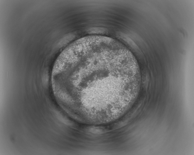X0000113310261200910131114