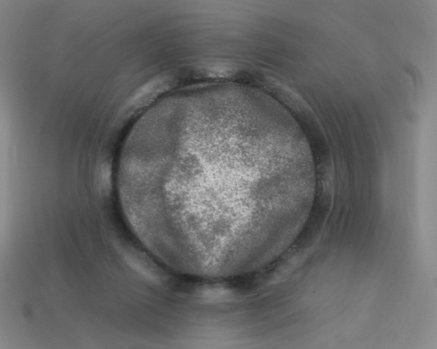 X0000113310262200910131114