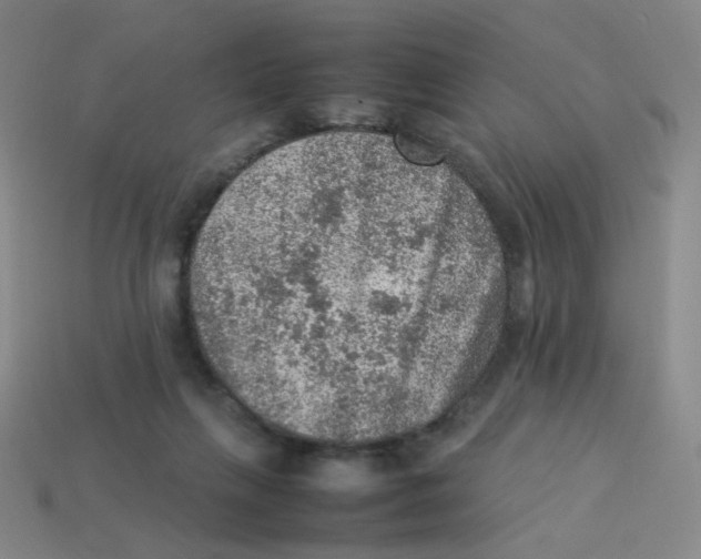 X0000113310263200910131114