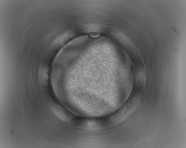 X0000113310264200910131114
