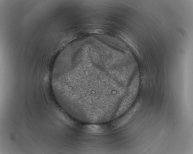 X0000113310265200910131114