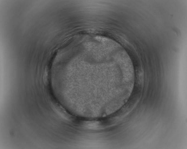 X0000113310266200910131114