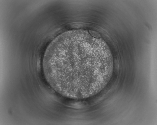 X0000113310267200910131114