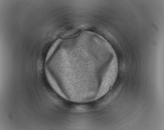 X0000113310268200910131114
