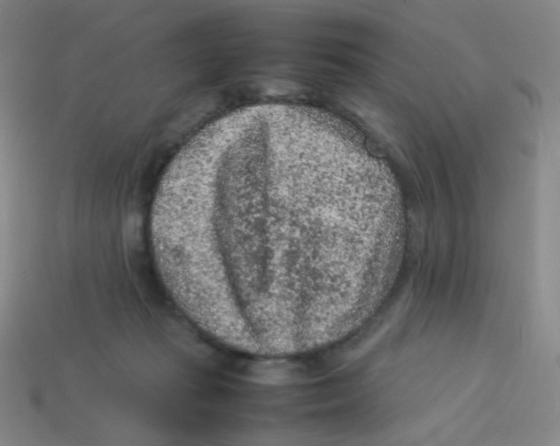 X0000113310269200910131114