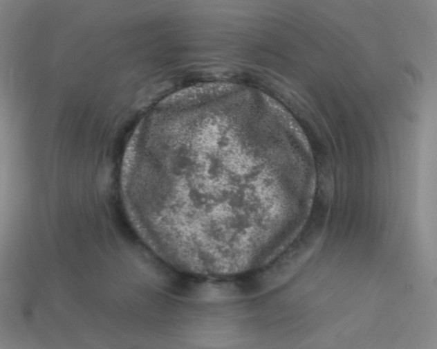 X0000113310270200910131114