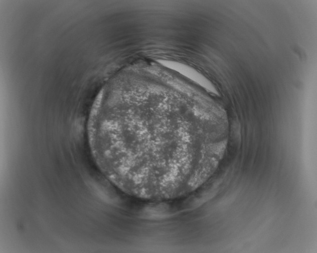 X0000113310271200910131114
