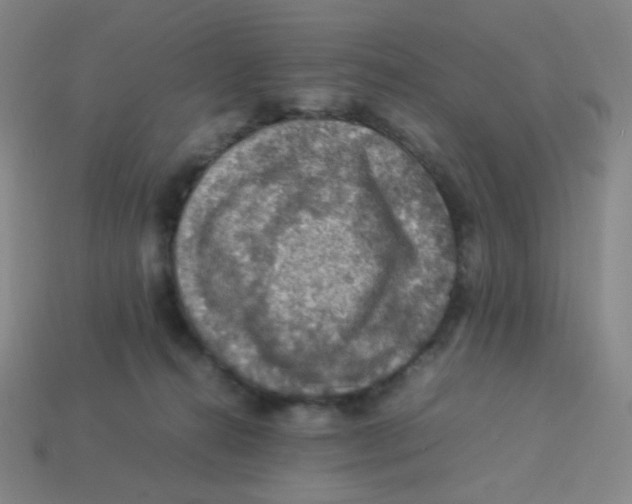 X0000113310272200910131114