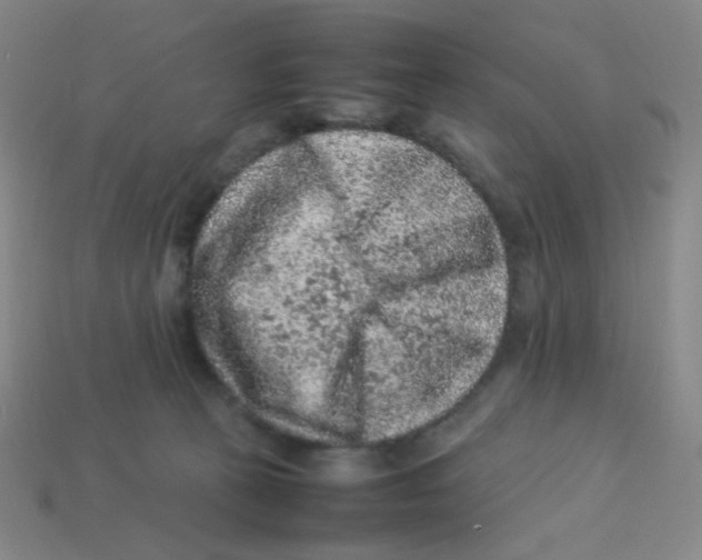 X0000113310273200910131114