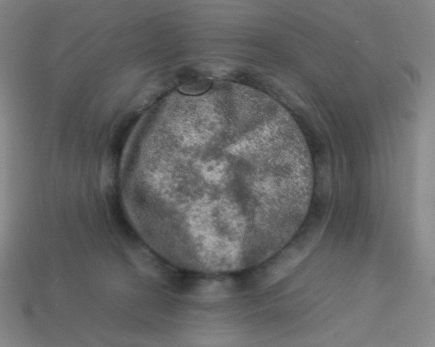 X0000113310274200910131114