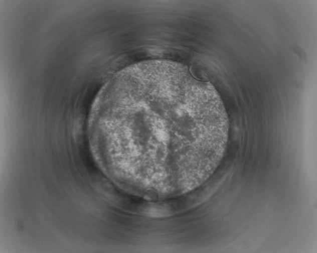 X0000113310275200910131114