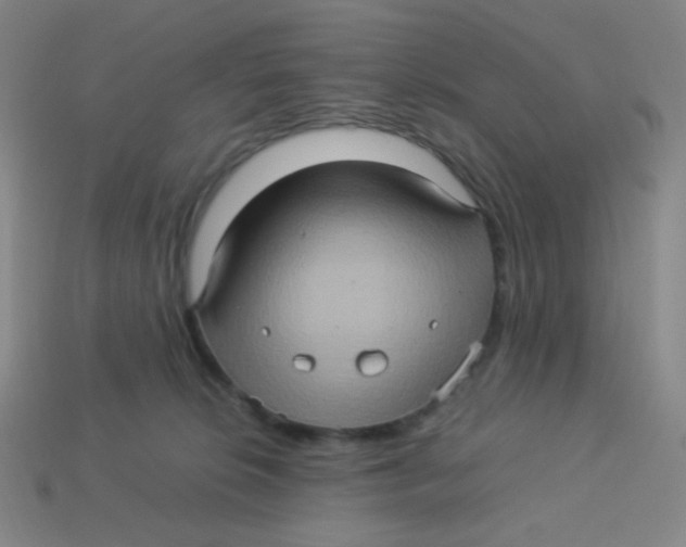 X0000113310276200910131114