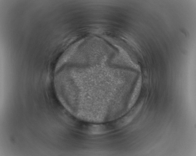 X0000113310277200910131114