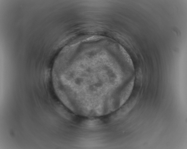 X0000113310278200910131114