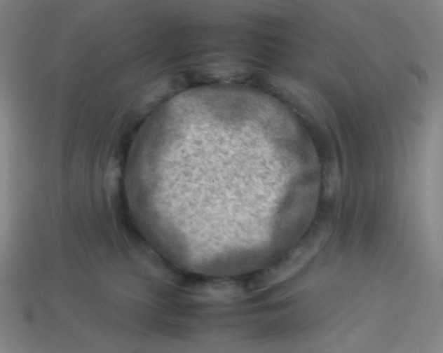 X0000113310279200910131114