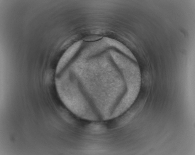 X0000113310280200910131114