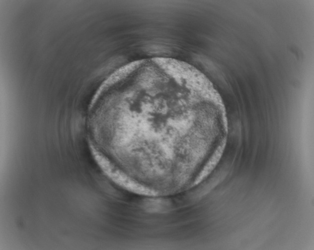 X0000113310281200910131114