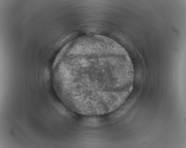 X0000113310282200910131114