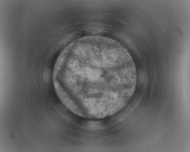 X0000113310283200910131114