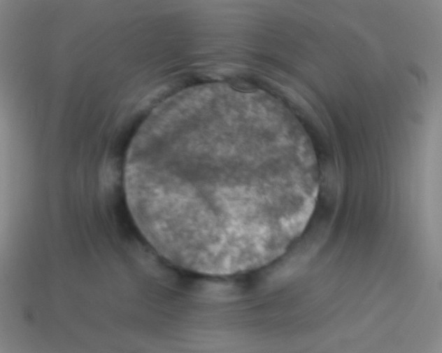 X0000113310284200910131114