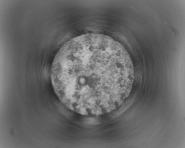 X0000113310285200910131114