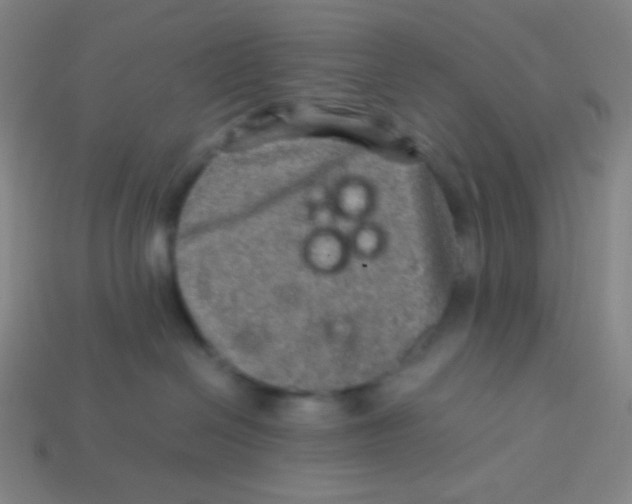 X0000113310286200910131114