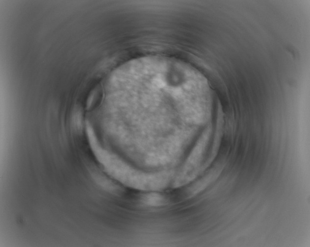 X0000113310287200910131114