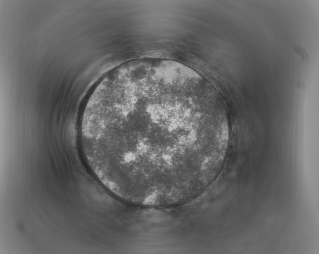 X0000113310290200910131113