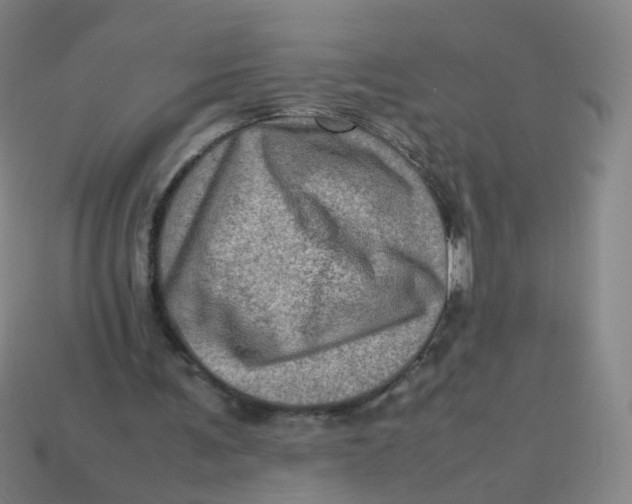 X0000113310291200910131113
