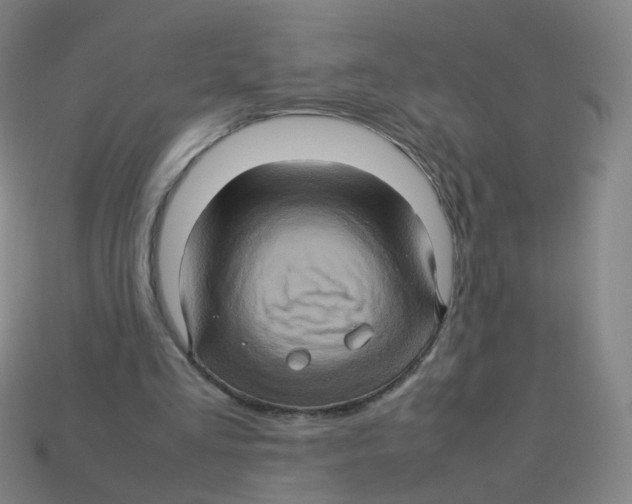 X0000113310293200910131113