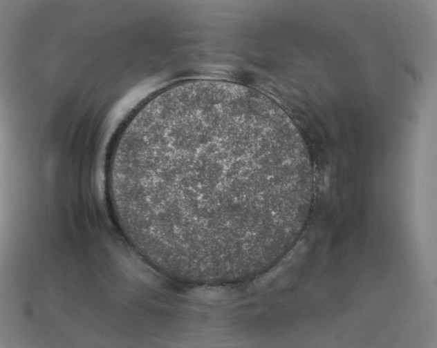 X0000113310294200910131113