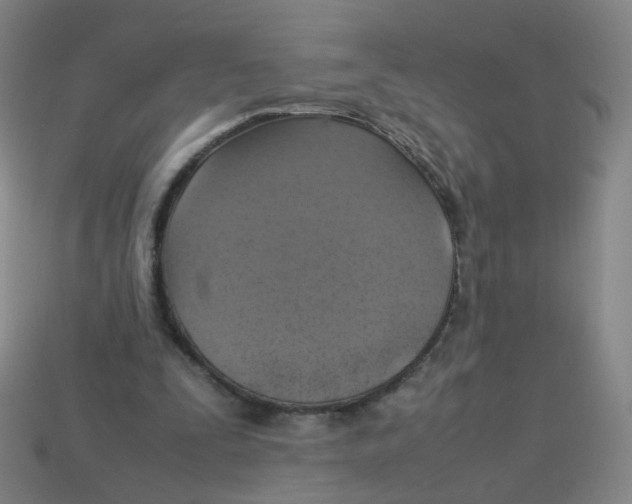 X0000113310295200910131113