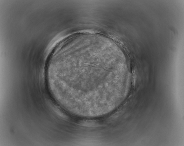 X0000113310296200910131113