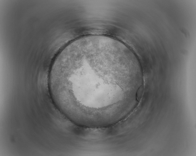 X0000113310297200910131113