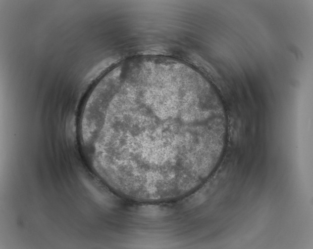 X0000113310298200910131113