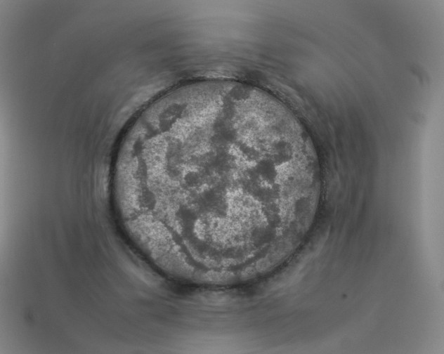 X0000113310299200910131113